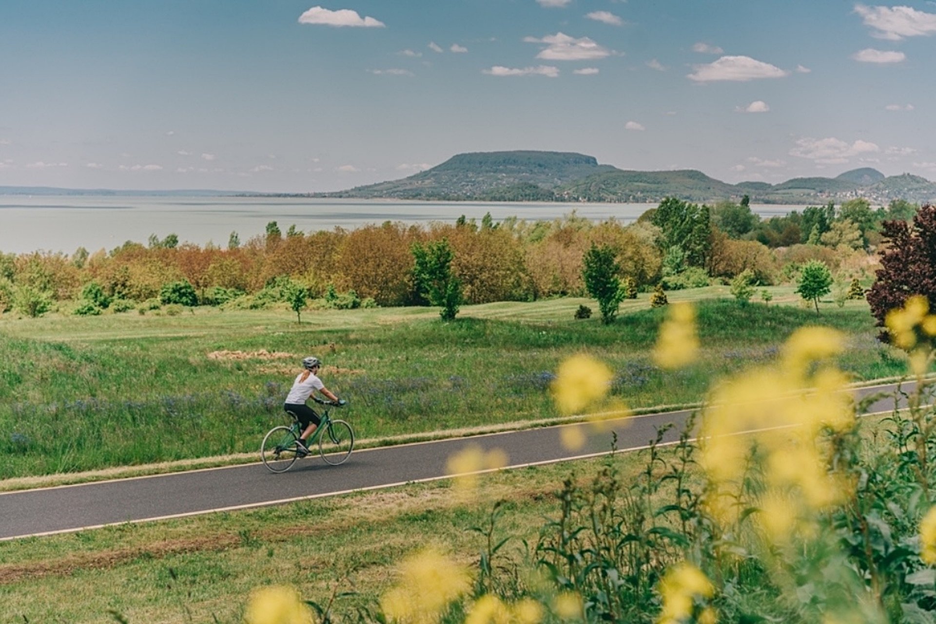 A cyclist on a bike path above Lake Balaton with the Badacsony hills across the water