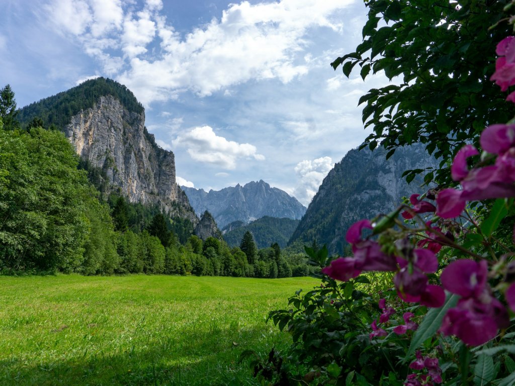Pedaling through the Ybbs valley offers splendid views of the Alps.