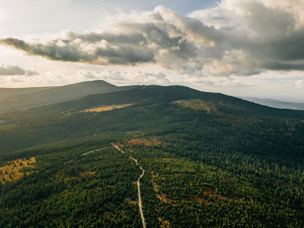 Karkonosze Pass road climbs through endless pine forests.