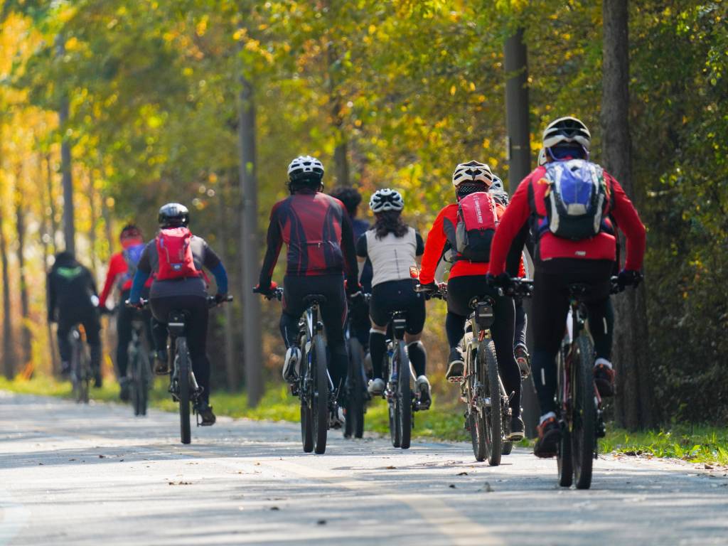 Expect flat roads and dense forests when cycling in the Baltics.