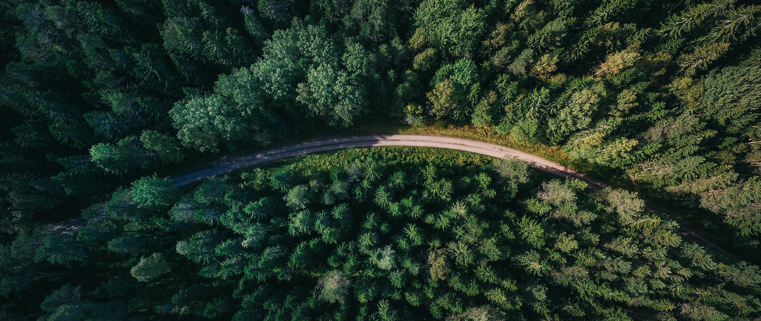 Cycling in Romania: All you need to know