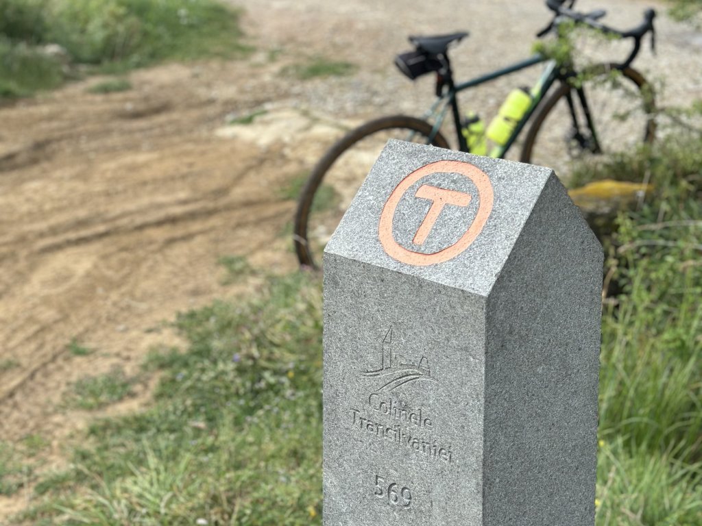 Uniquely carved markers guide you along the Via Transilvanica.