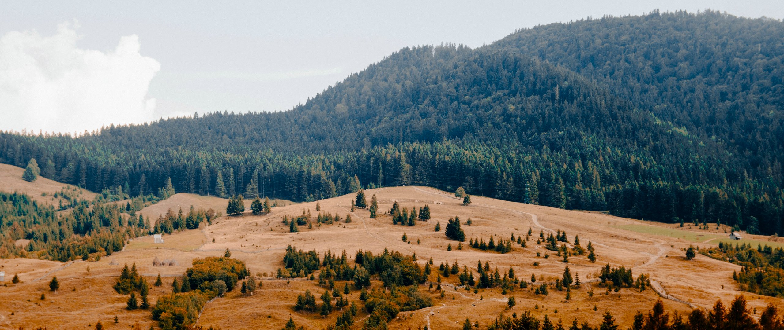 Cycling the Via Transilvanica: Bucovina (Putna to Poiana Stampei)