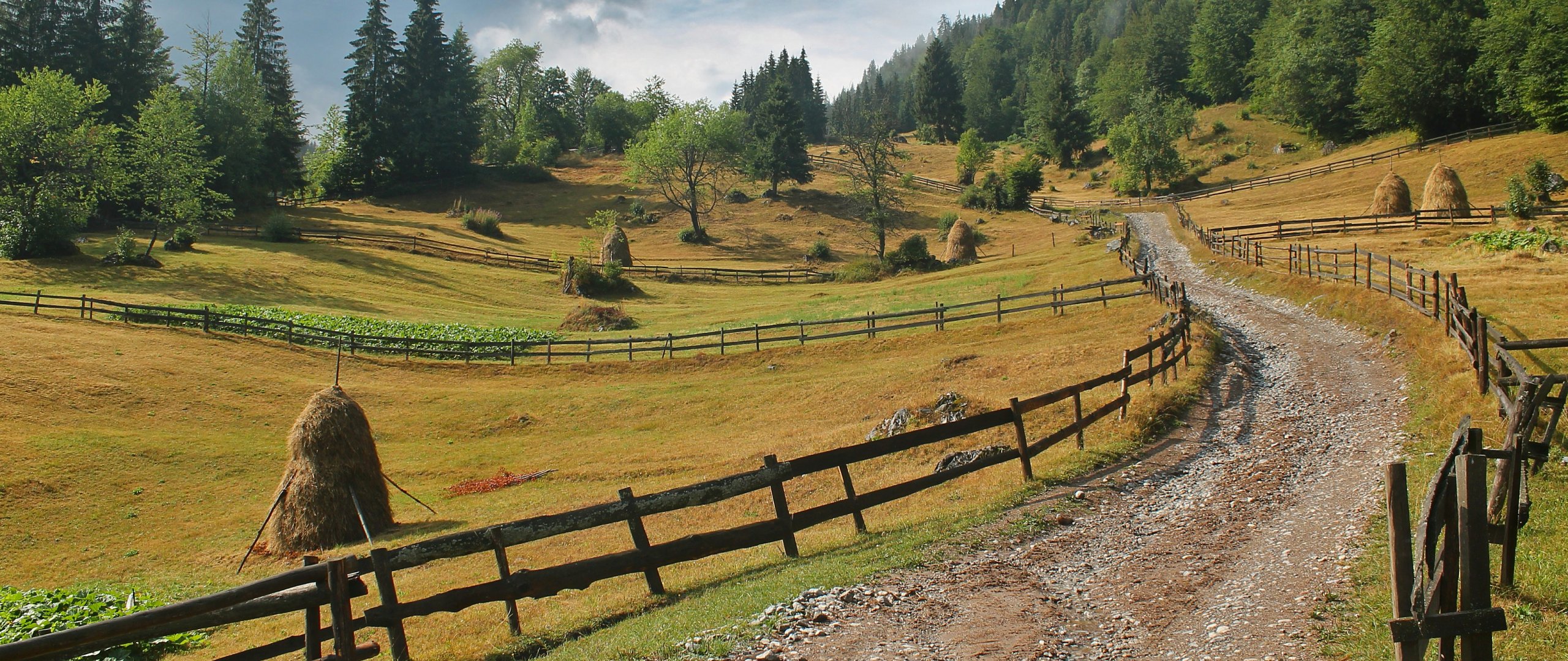 Cycling the Via Transilvanica: The Highland Region / Ținutul de Sus (Poiana Stampei to Brădețelu)