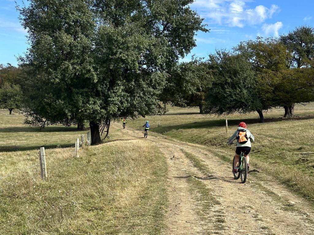 Riding the Via Transilvanica gravel cycling route.