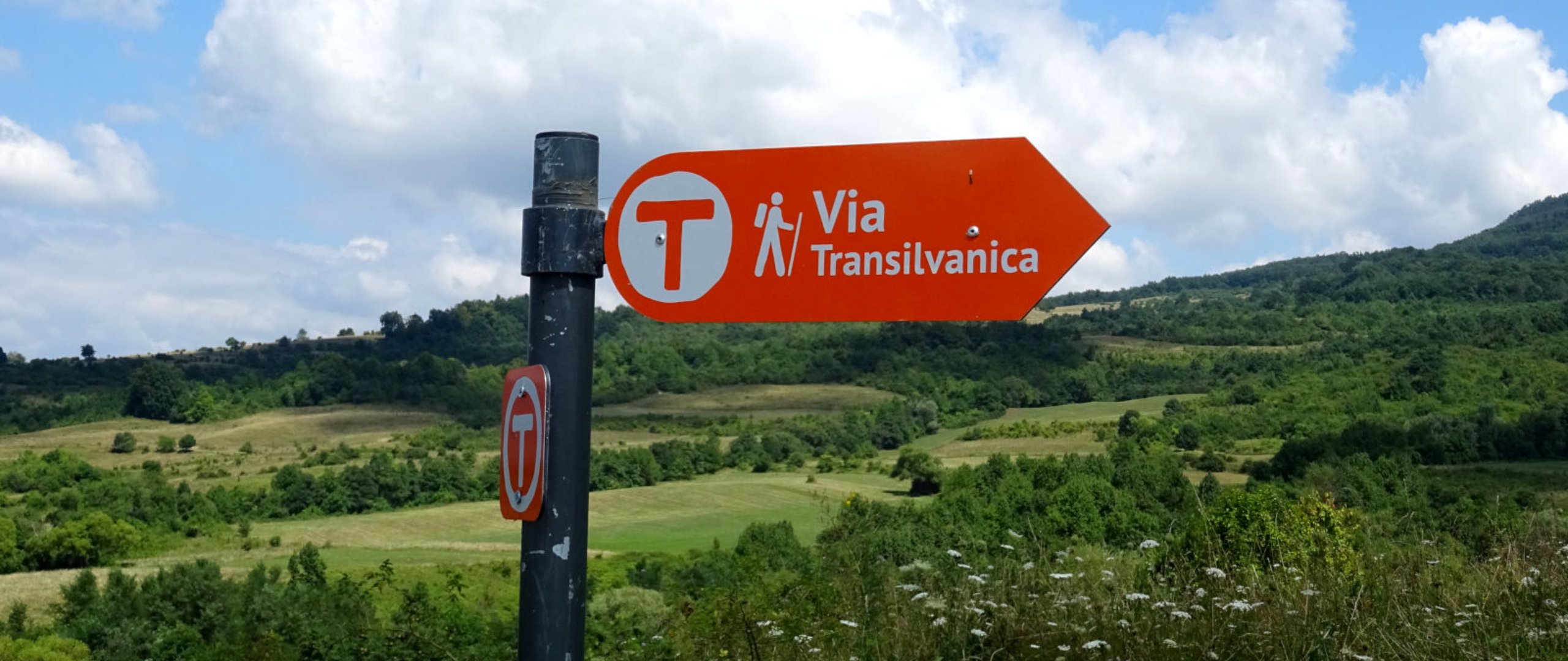Cycling the Via Transilvanica: A Region-by-Region Guide