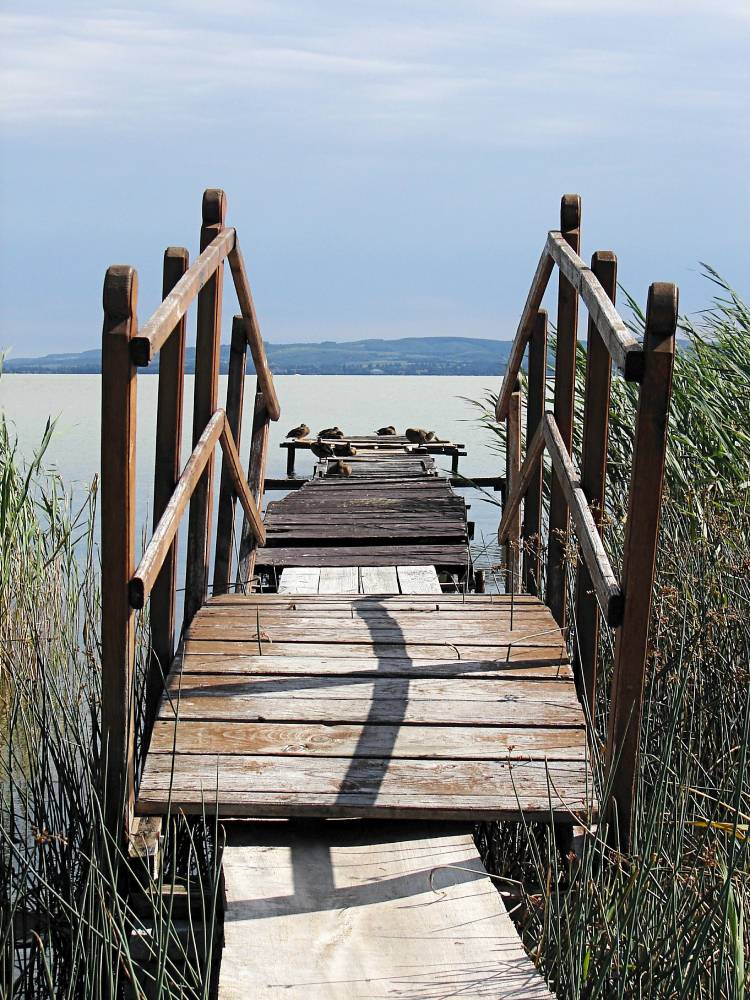 A wooden jetty running out through the reeds into Lake Balaton