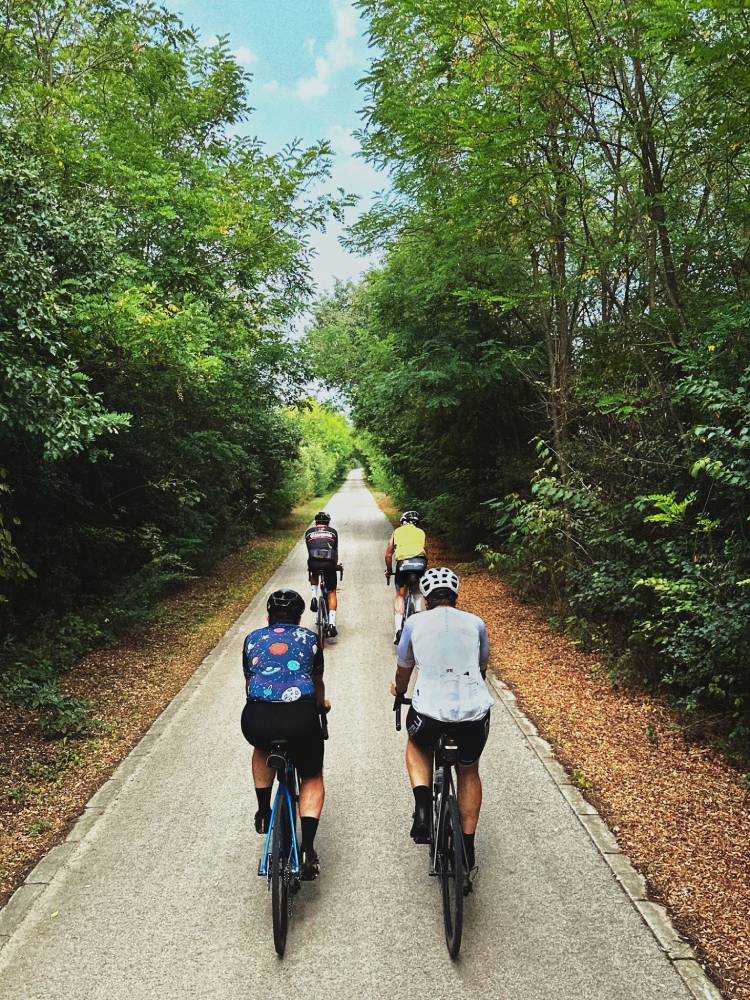 Four cyclists riding a tree-lined bike path