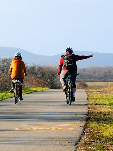 Bike tour to the Etyek wine region with tasting and meal