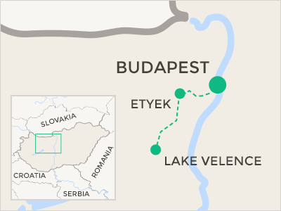 Bike tour to the Etyek wine region with tasting and meal